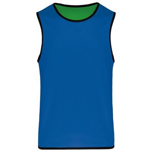 Proact PA044 - Markierungshemd - Wendetrikot Sporty Royal Blue / Green