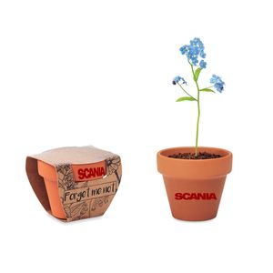 GiftRetail MO6146 - FORGET ME NOT Terracotta-Topf Vergissmeinnich Wood