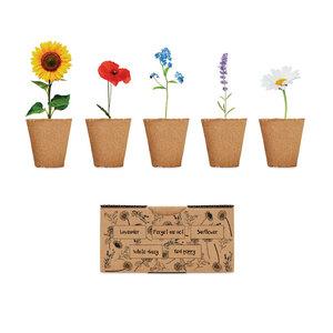 GiftRetail MO6500 - FLOWERS Saat-Set Sommerblumen