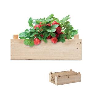 GiftRetail MO6506 - STRAWBERRY Saat-Set Erdbeere